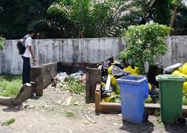images_029